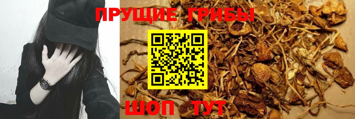 Туапсе  Галлюциногенные грибы Cubensis  Вход с VPN  Галлюциногенные грибы ЛСД 